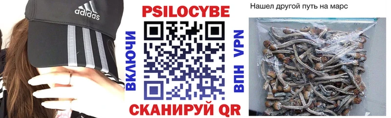 мега зеркало  Елизово  Галлюциногенные грибы GOLDEN TEACHER  где можно купить наркотик 