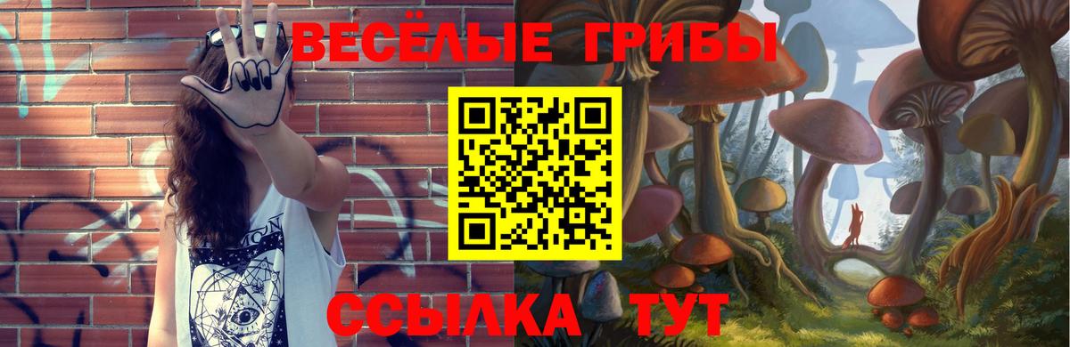 Псилоцибиновые грибы Psilocybe Елизово