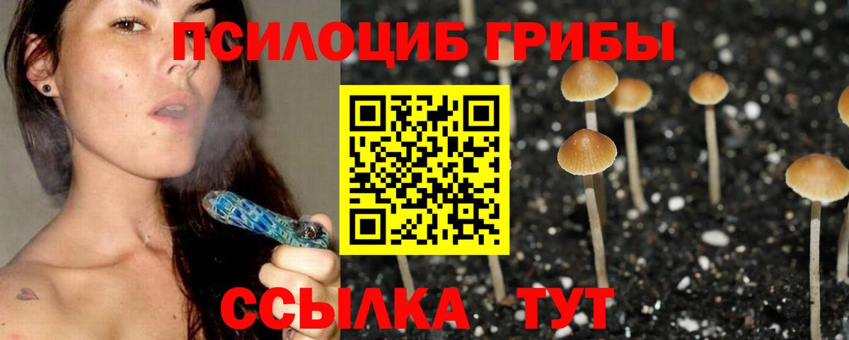 Галлюциногенные грибы мухоморы  Елизово  Псилоцибиновые грибы Cubensis 