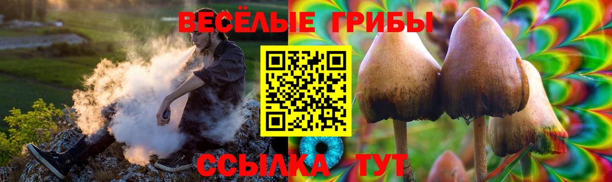 Галлюциногенные грибы мицелий Елизово